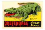 Gator from Okefenokee Swamp Park