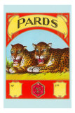 Two Snarling Leopards
