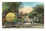Buy Giant Grapefruit on Cart at AllPosters.com