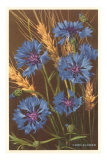 Corn Flowers and Wheat