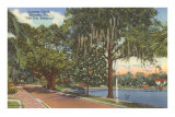 Lucerne Circle, Orlando, Florida