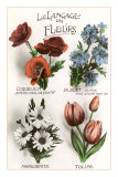 French Language of Flowers