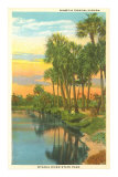 Sunset in Tropical Florida, Myakka River State Park