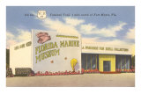 Florida Marine Museum, Ft. Myers, Florida