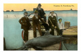 Porpoise on Boat, St. Petersburg, Florida