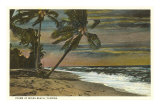Buy Storm at Miami Beach, Florida at AllPosters.com
