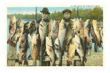 Buy Fish Catch, Florida at AllPosters.com