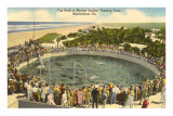 Porpoises Cavoting, Marineland, Florida Premium Poster