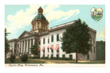 Buy State Capitol, Tallahassee, Florida at AllPosters.com