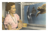 Aquarium, Marineland, Florida Premium Poster
