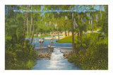 Buy Sanlando Springs, Florida at AllPosters.com