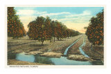 Orange Grove, Florida