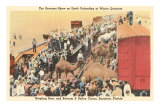 Circus Camels in Trains, Sarasota, Florida