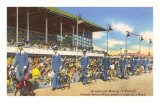 Greyhound Racing, Florida