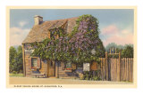 Buy Oldest School House, St. Augustine, Florida at AllPosters.com