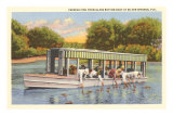 Buy Glass Bottom Boat, Silver Springs, Florida at AllPosters.com