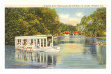 Buy Glass Bottom Boat, Silver Springs, Florida at AllPosters.com