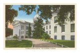 Buy State Capitol, Tallahassee, Florida at AllPosters.com