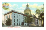 Buy State Capitol, Tallahassee, Florida at AllPosters.com