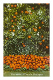 Oranges, Florida