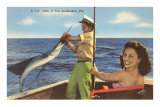 Buy Catching a Sailfish, Ft. Lauderdale, Florida at AllPosters.com