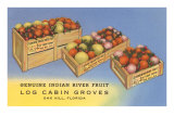 Buy Fruit in Crates, Oak Hill, Florida at AllPosters.com
