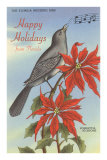 Happy Holidays from Florida, Mocking Bird, Poinsettias