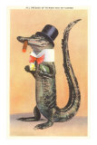 Alligator in Top Hat