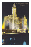Night, Wrigley Building, Chicago, Illinois