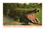 Seasons Greetings from Sunny Florida, Alligator