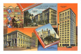 Buy Libraries, Chicago, Illinois at AllPosters.com