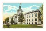 Buy State Capitol, Tallahassee, Florida at AllPosters.com