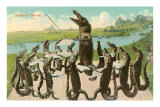 Alligator Chorus