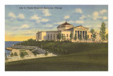 Shedd Aquarium, Chicago, Illinois Premium Poster