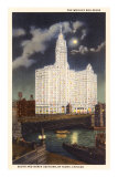 Wrigley Building at Night, Chicago, Illinois