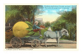 Buy Giant Grapefruit on Cart, Florida at AllPosters.com