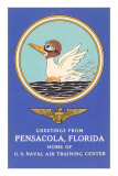 Naval Air Center, Pensacola, Florida, Duck with Goggles