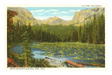 Lily Pond, Wild Basin, Colorado