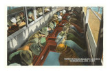 Buy Interior Glass Bottom Boat, Catalina, California at AllPosters.com