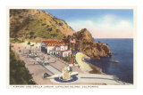 Buy Airport and Orilla Jardin, Catalina, California at AllPosters.com