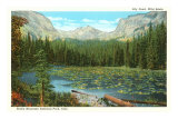 Lily Pond, Wild Basin, Colorado