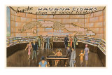 Smoke Havana Cigars