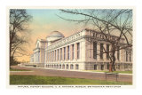 Natural History Building, Washington D.C.
