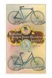 National Cushion Frame Chainless Bicycle