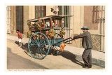 Fruit and Poultry Vendor, Havana, Cuba