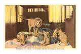 Lions, Smithsonian, Washington D.C.