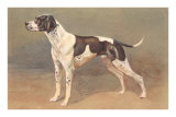 Pointer