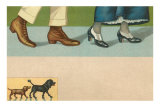 View of Four Feet, Two Dogs