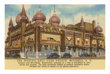 Buy Corn Palace, Mitchell, South Dakota at AllPosters.com