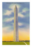 Buy Washington Monument, Washington D.C. at AllPosters.com